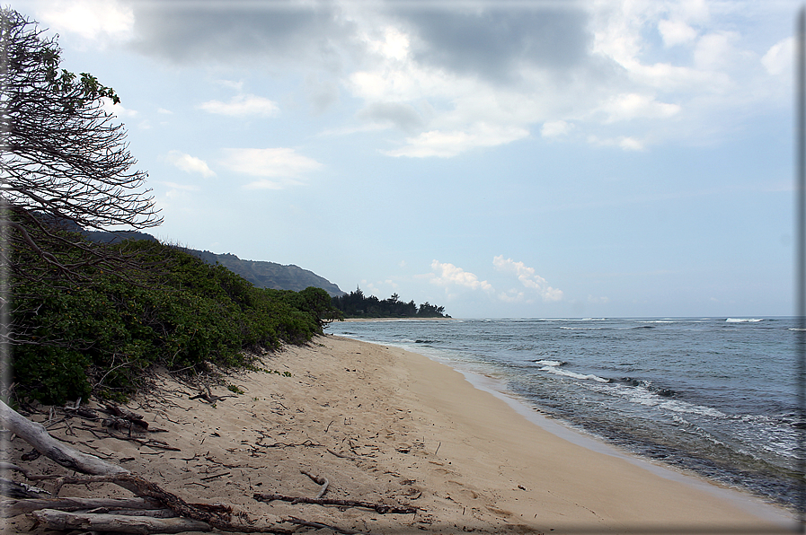 foto Spiagge dell'Isola di Oahu